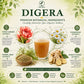 Digera