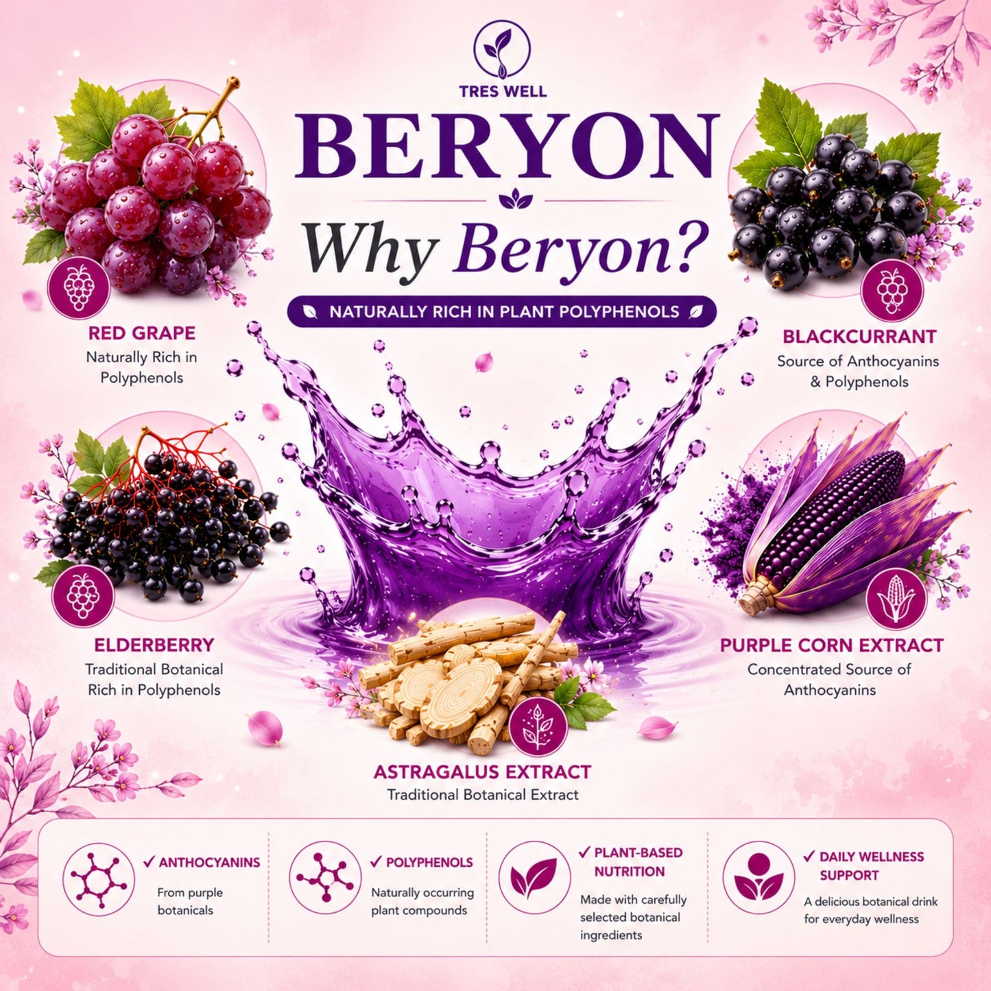 Beryon