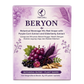 Beryon