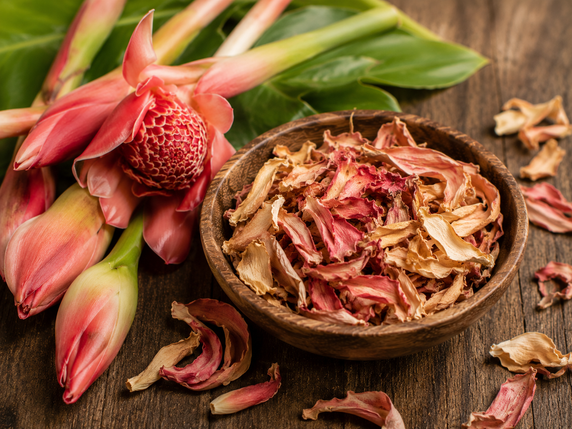 Dried torch ginger