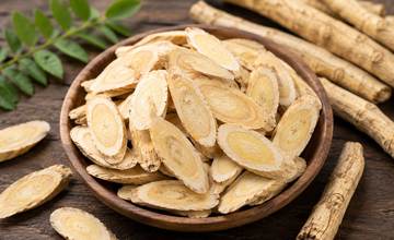 Fresh astragalus root
