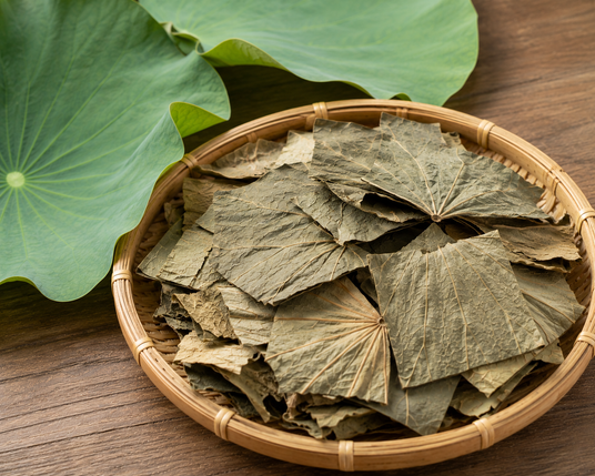 Fresh lotus leaf